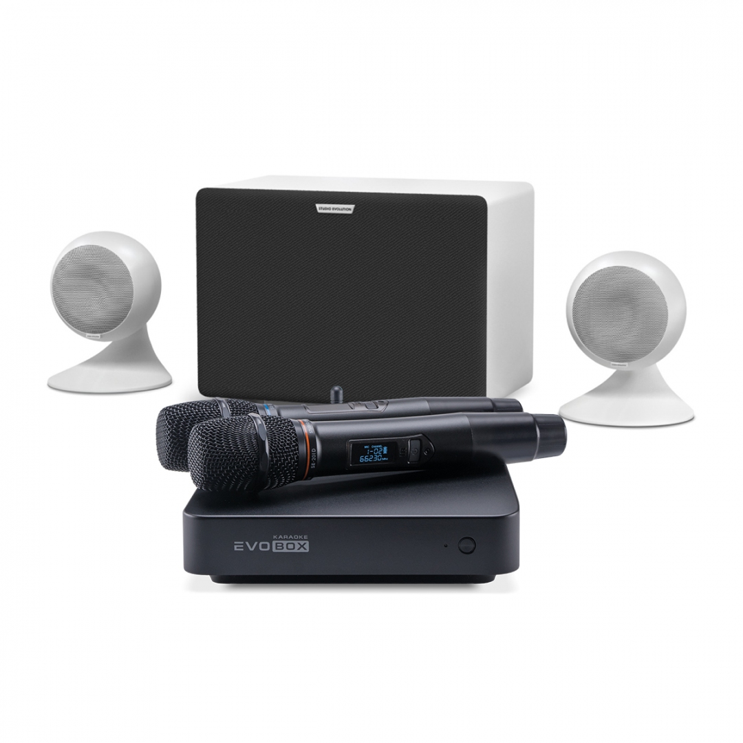 караоке-комплект EVOBOX Classic + EvoSound Sphere 2.1 в Бугульме