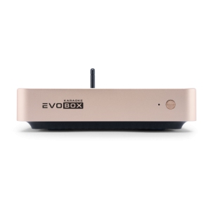 EVOBOX Classic караоке-система для дома в Бугульме