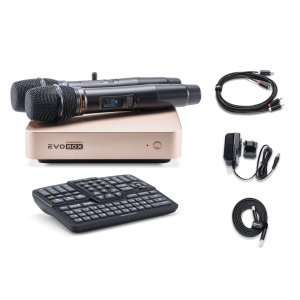 EVOBOX Classic караоке-система для дома в Бугульме