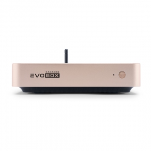EVOBOX Plus караоке-система для дома в Бугульме