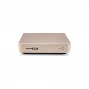 EVOBOX с микрофонами в Бугульме